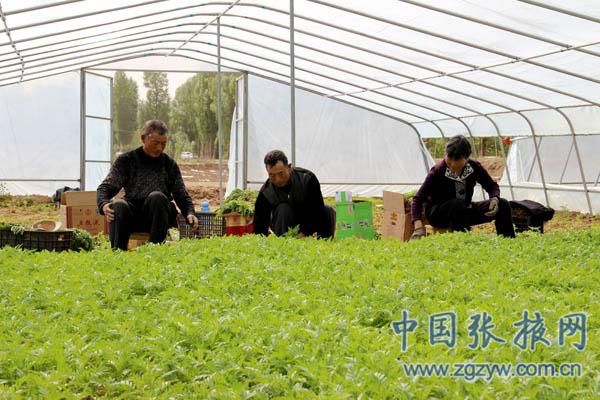 中医治疗肺癌哪里最好|肺癌患者要做哪些科学