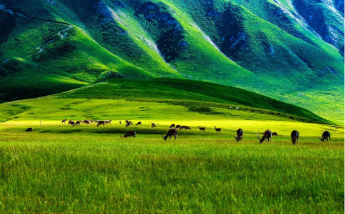 向西奔赴，去张掖!