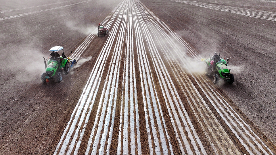 张掖民乐：23万亩玉米播种实现机械化全覆盖