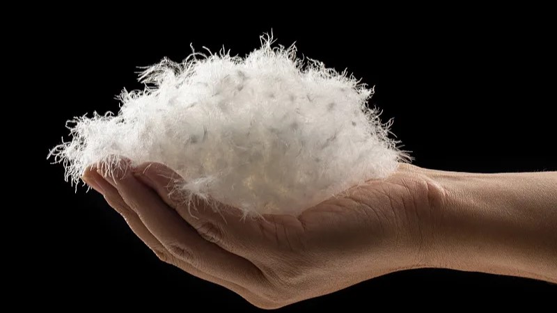 4招选对羽绒服，保暖过冬更省心