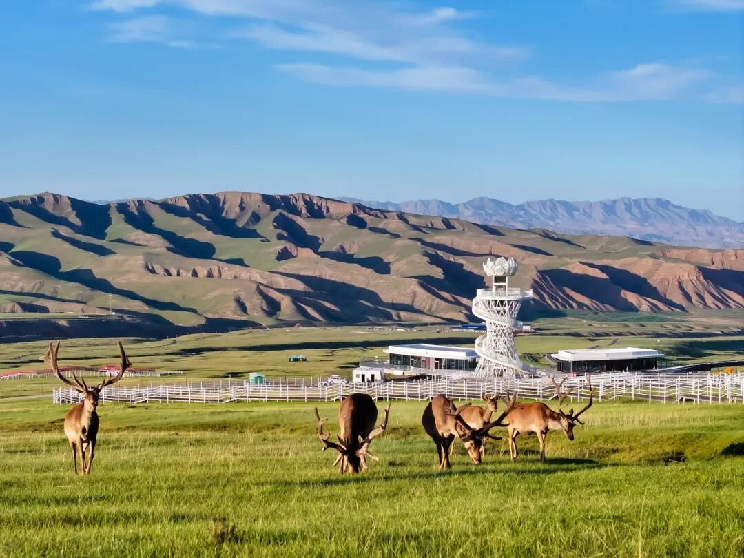 张掖市肃南县发布2026年冬春季旅游优惠政策
