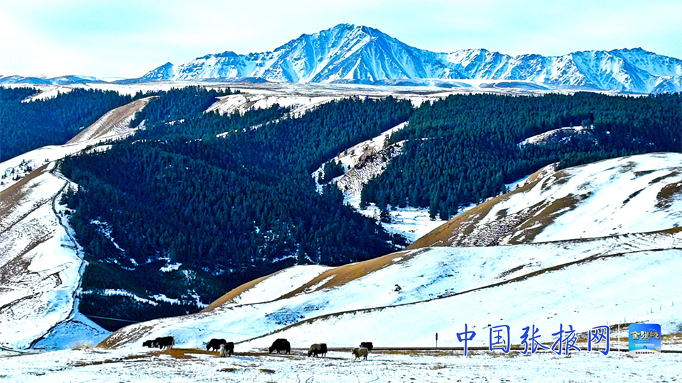 【组图】张掖肃南：雪后祁连山风光如画