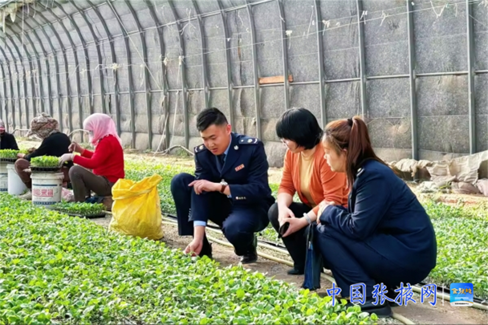 春耕备耕，张掖税务奏响“春之乐章”