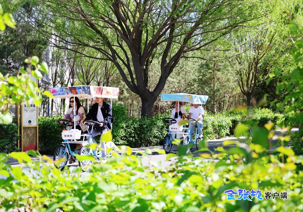 【组图】甘肃张掖：湿地公园迎来游览高峰