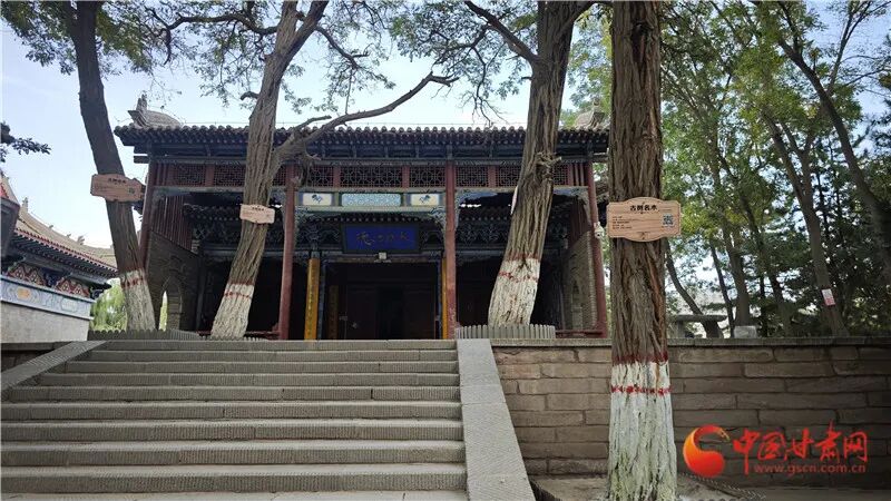 张掖大佛寺出土的银币 见证千年丝路“美美与共”